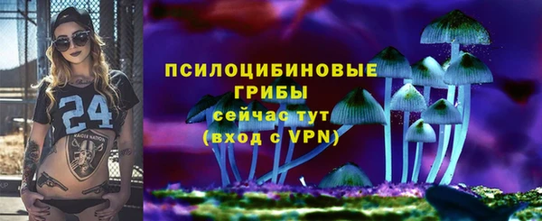 МДМА Богданович