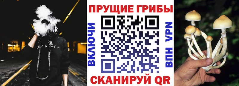 Псилоцибиновые грибы MAGIC MUSHROOMS  цены наркотик  Белинский 